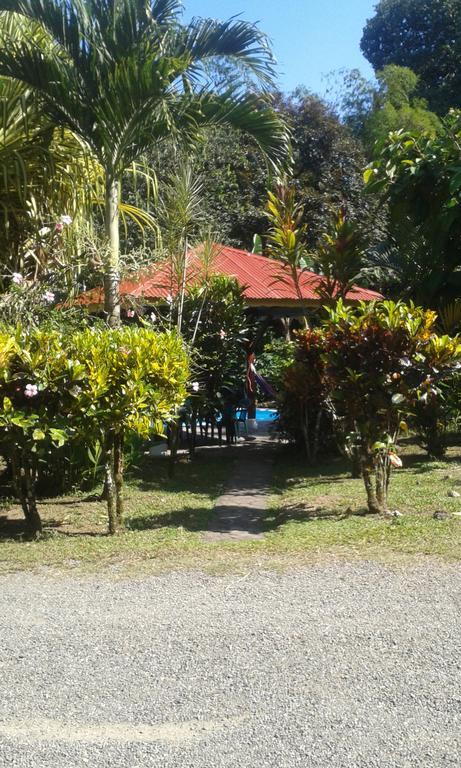 Cabinas Nirvana Ecolodge Cahuita Bagian luar foto