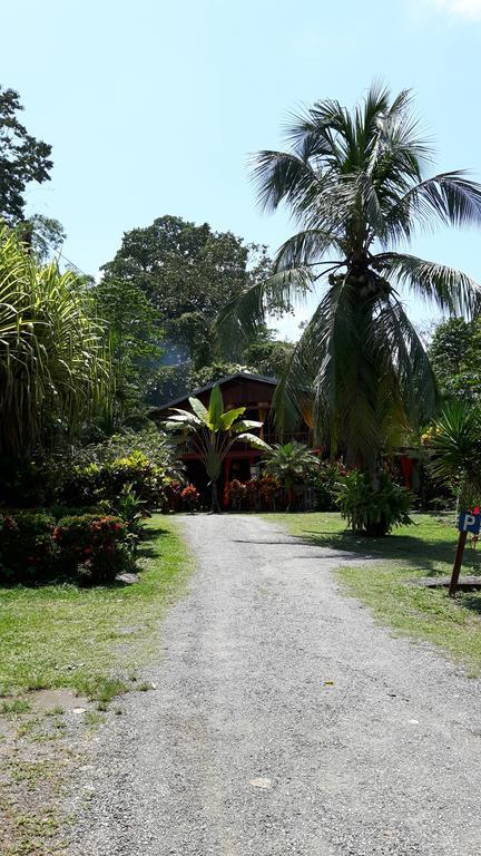 Cabinas Nirvana Ecolodge Cahuita Bagian luar foto