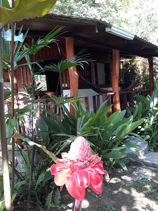 Cabinas Nirvana Ecolodge Cahuita Bagian luar foto
