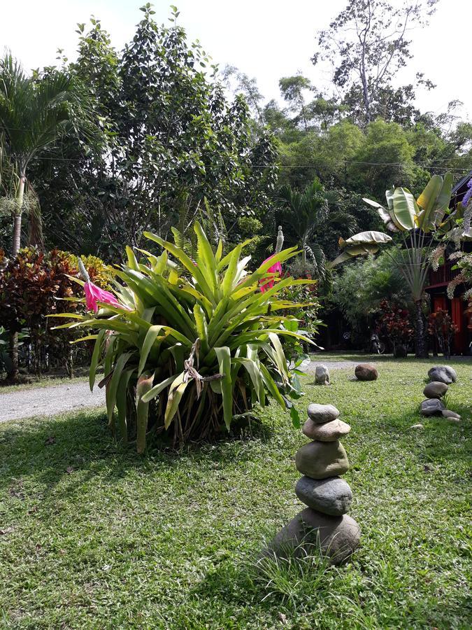 Cabinas Nirvana Ecolodge Cahuita Bagian luar foto