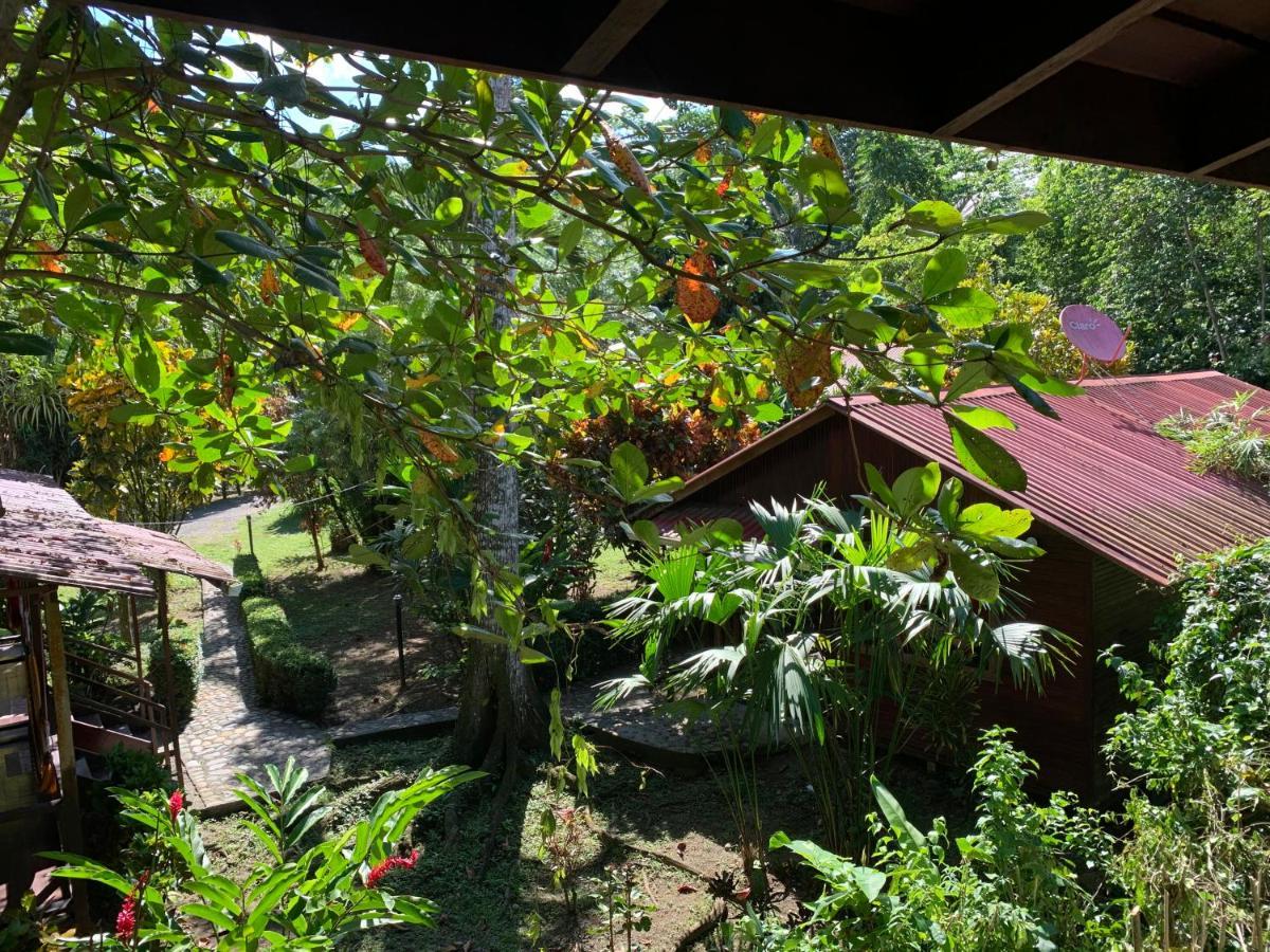 Cabinas Nirvana Ecolodge Cahuita Bagian luar foto