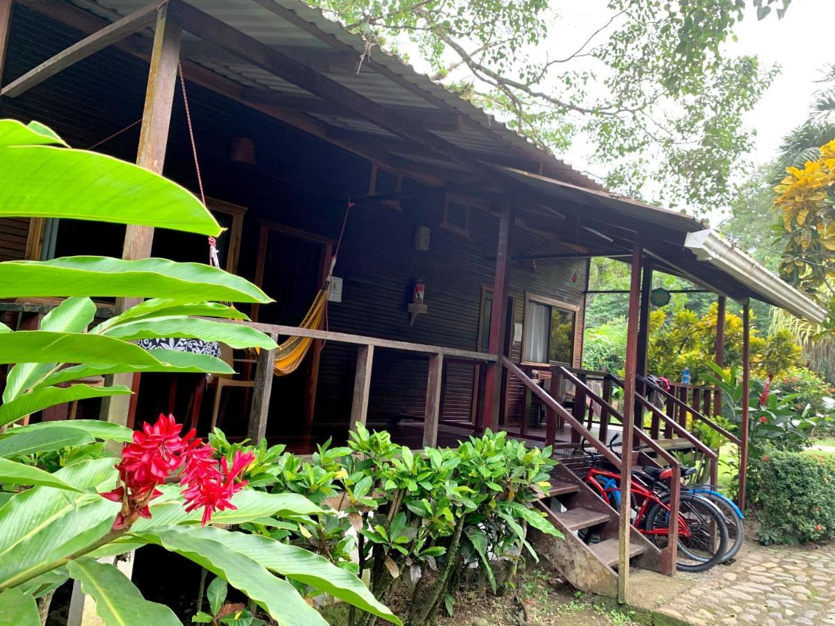 Cabinas Nirvana Ecolodge Cahuita Bagian luar foto